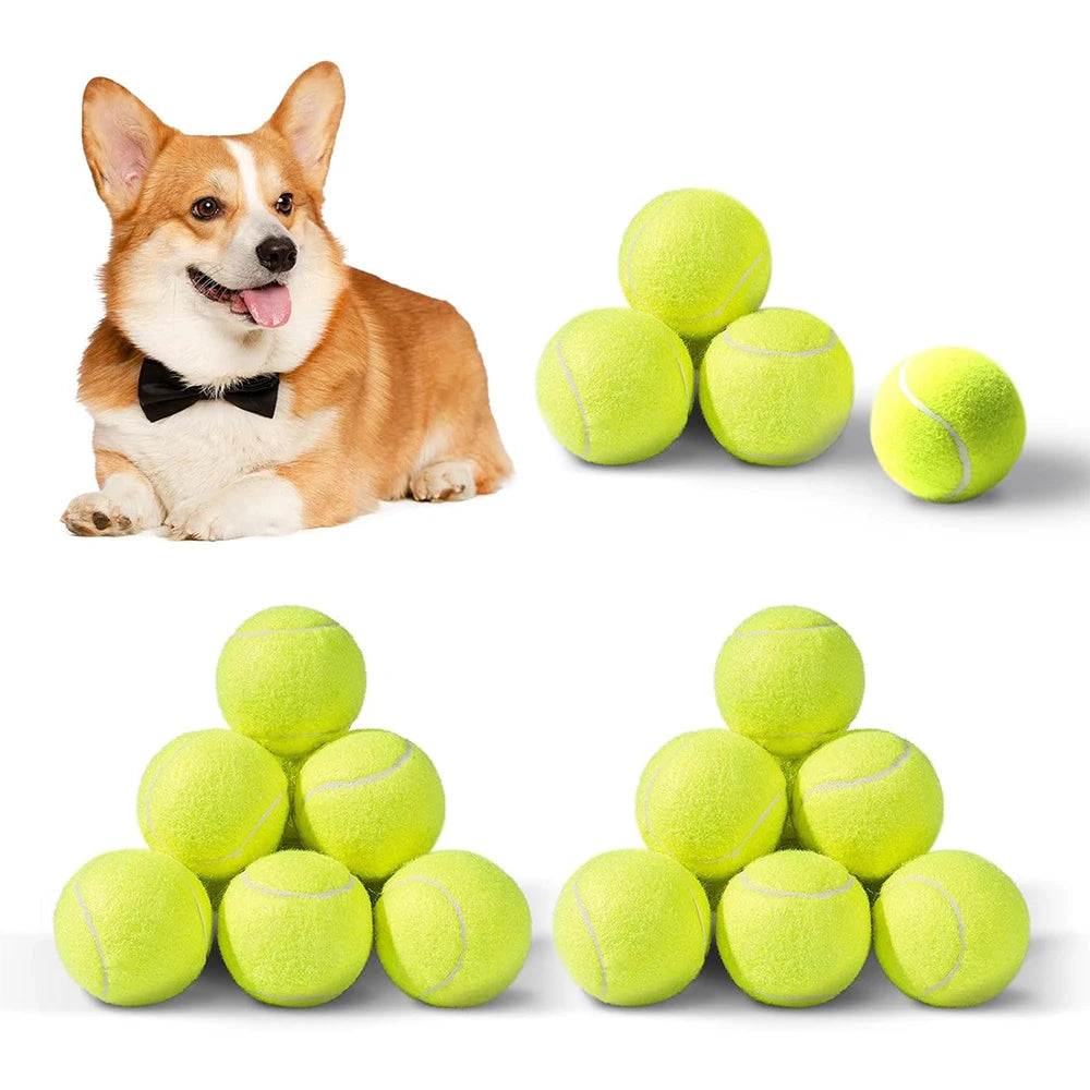Dog Balls & Fetch Toys