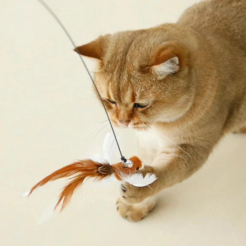 Funny Bird Feather Cat Wand With Bell Accessories Interactive Toys