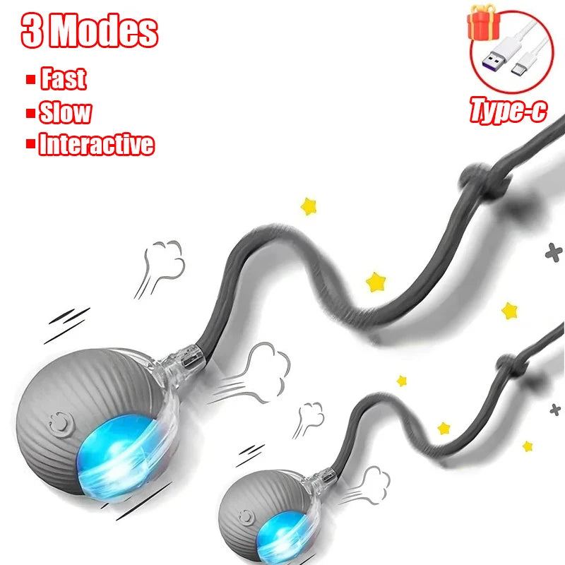 New Cat Interactive Ball Toy Automatic Rolling Ball