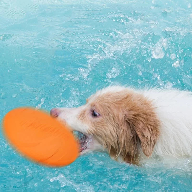 Pet Dog Flying Disk Toy
