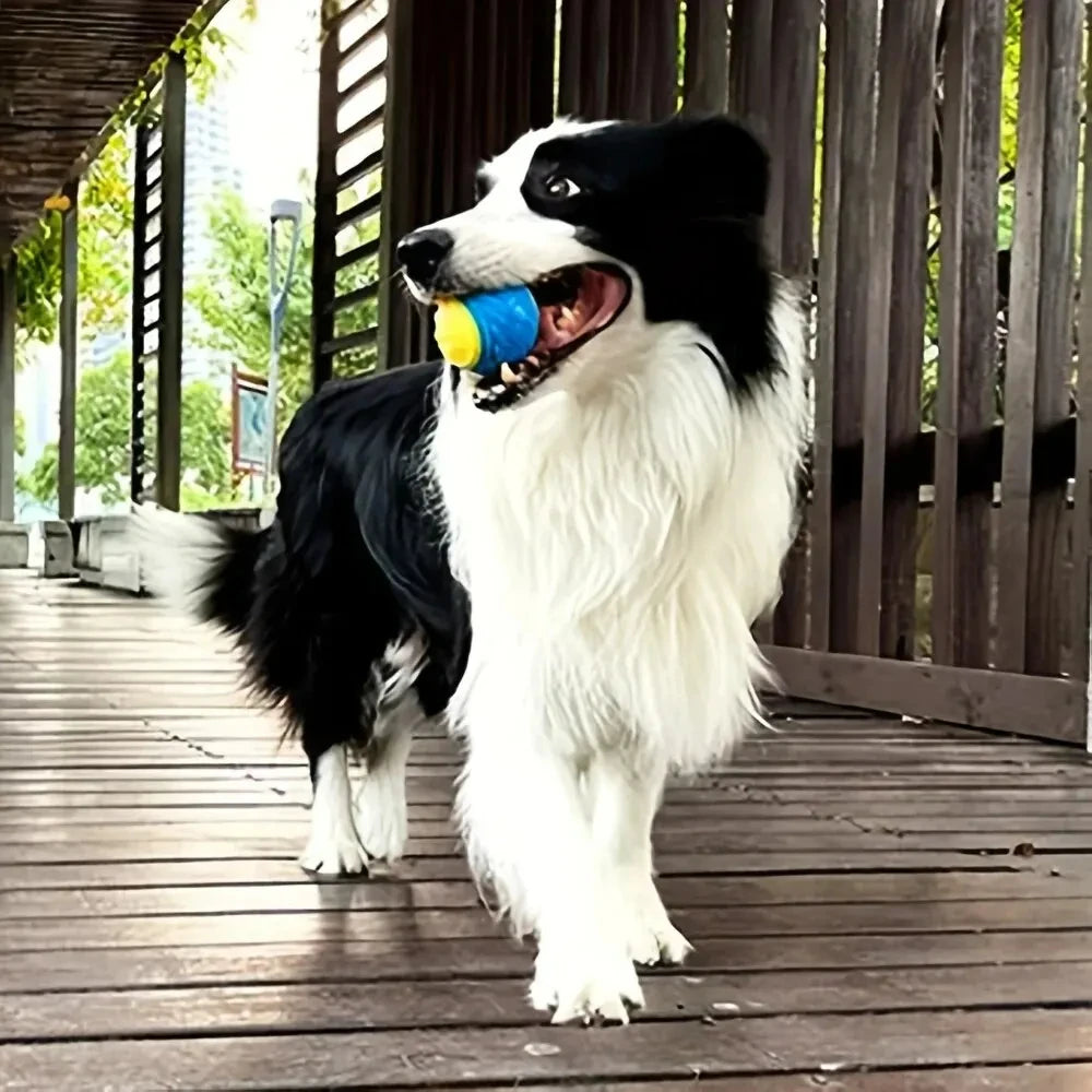 Dog Toy Durable Crew Ball Pet Grinding Teeth Toy