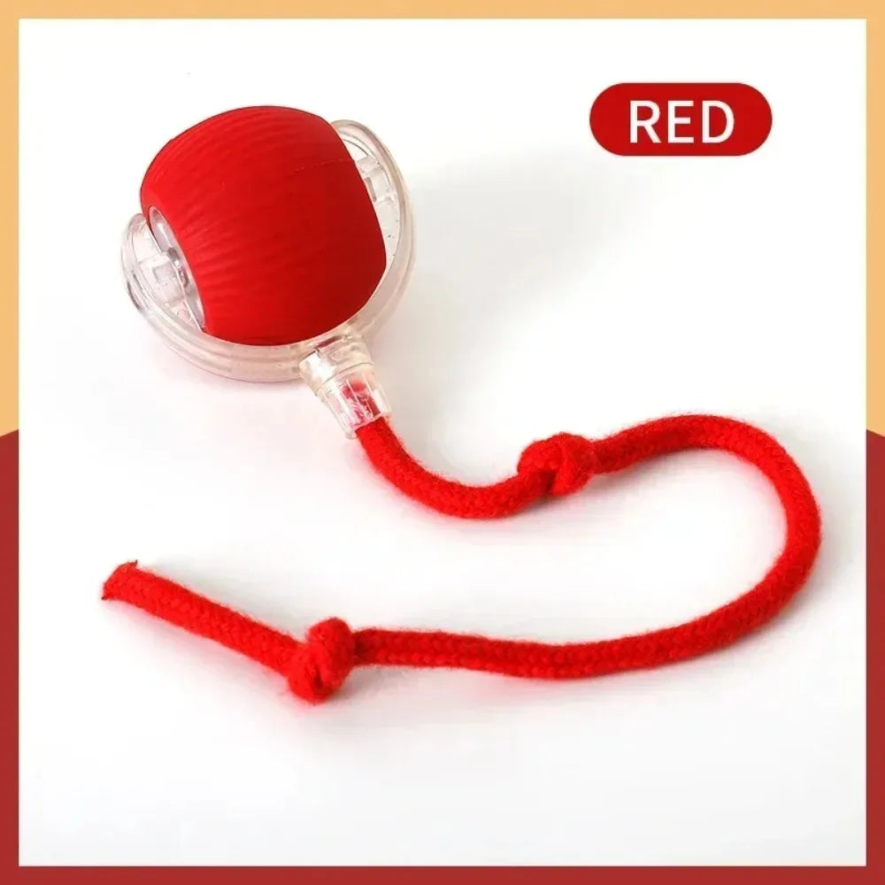 New Cat Interactive Ball Toy