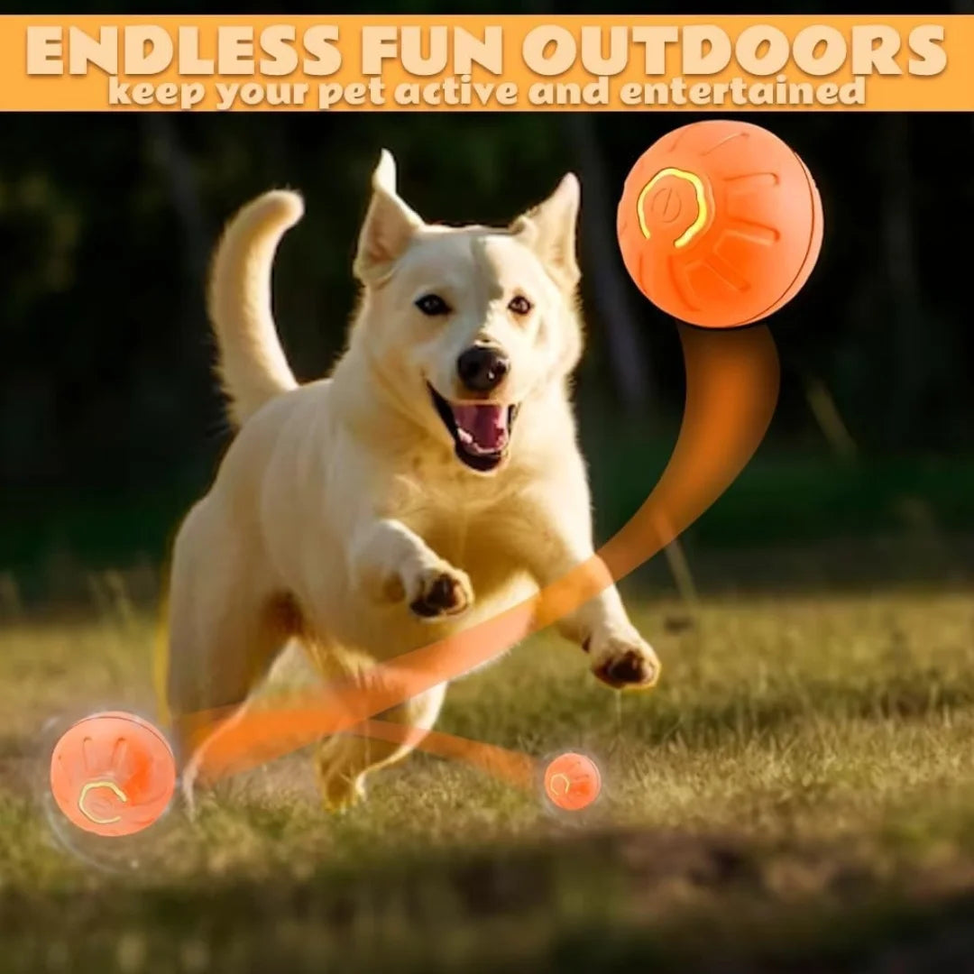 Smart Bouncing Ball For Dogs and Cats