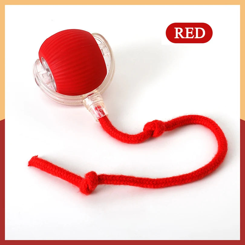 Dropshipping Interactive Cat Toys Ball