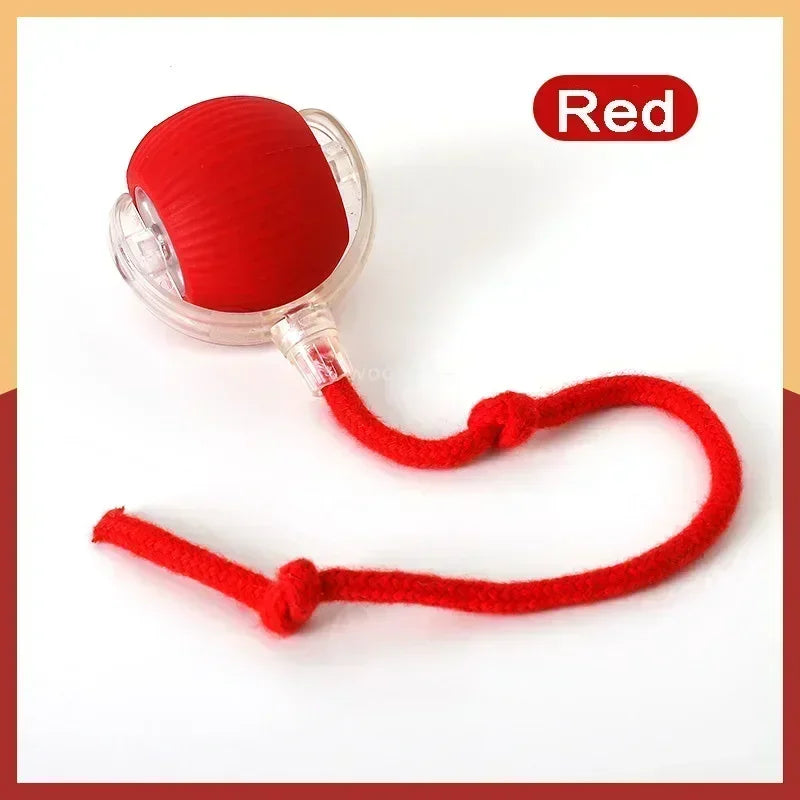 2025 Hot Electric Dog Ball Toys