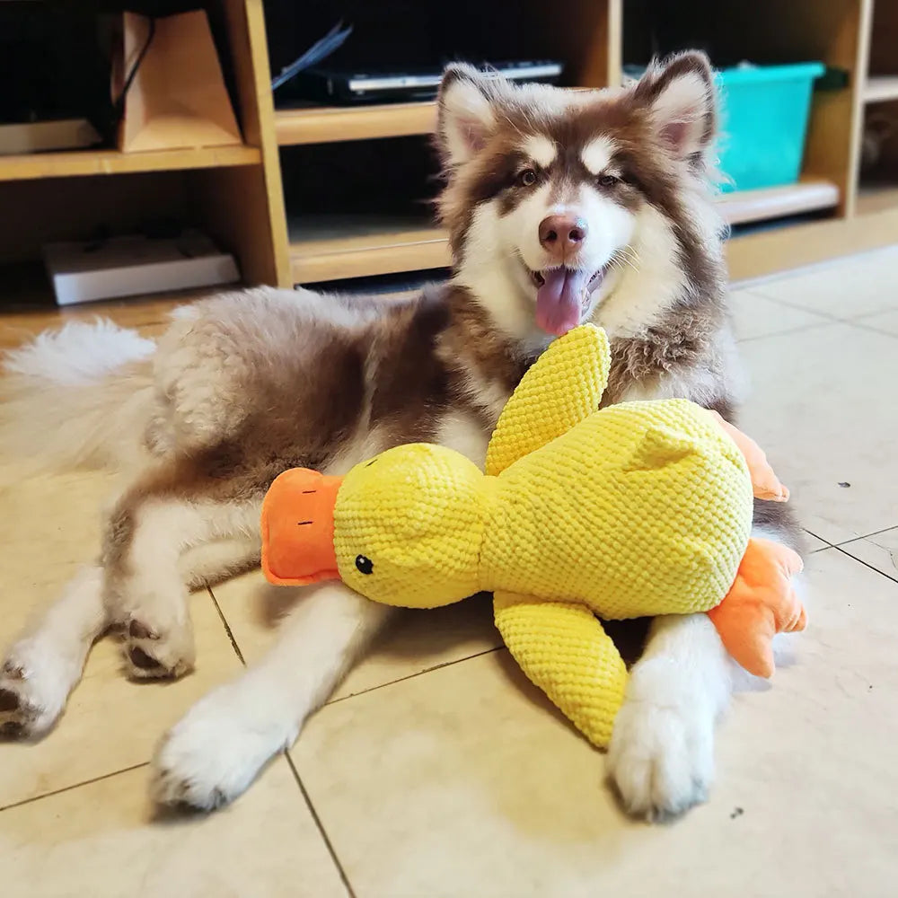 Dog Toy Stomping Duck Bite Resistant Grinding