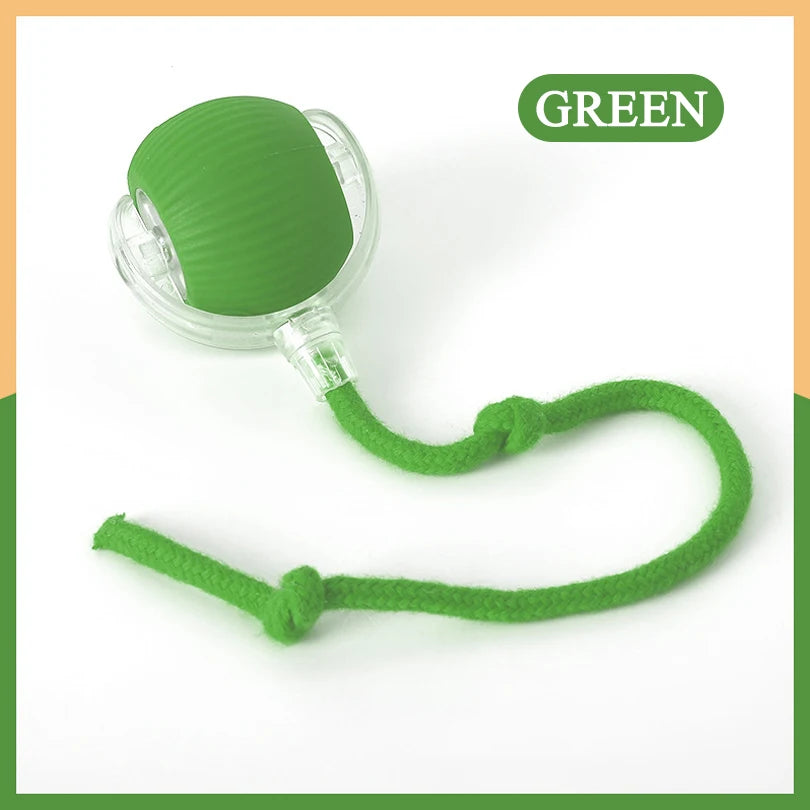 Dropshipping Interactive Cat Toys Ball