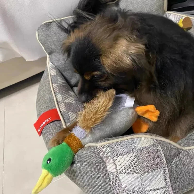 Cute Plush Duck Dogs Squeak Toys