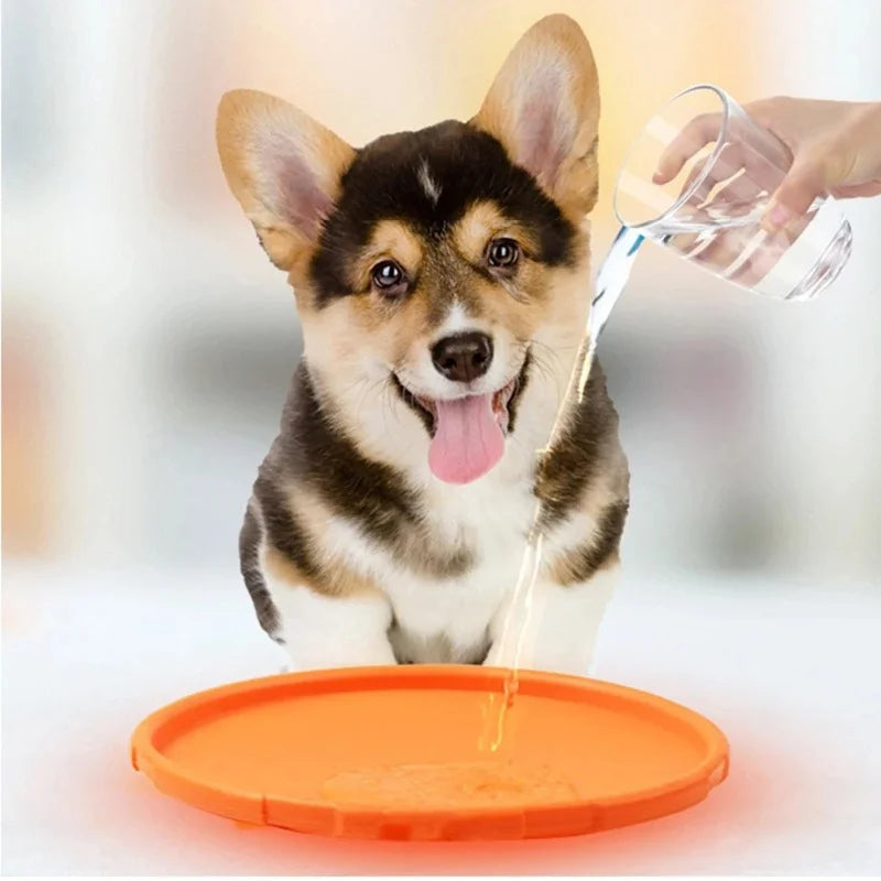 Pet Dog Flying Disk Toy