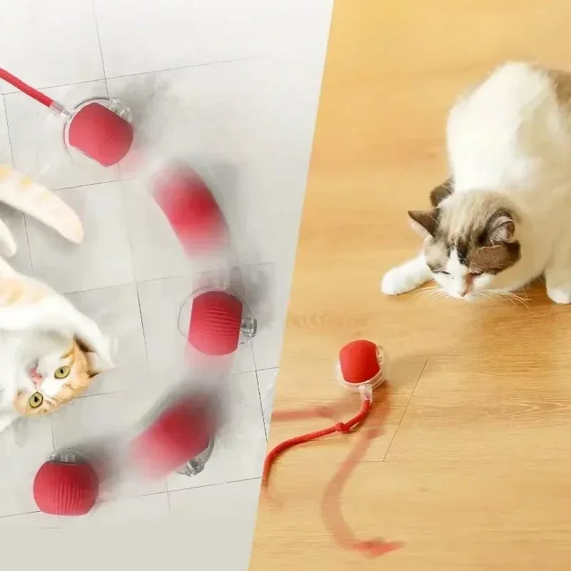 Cat Interactive Ball Toy