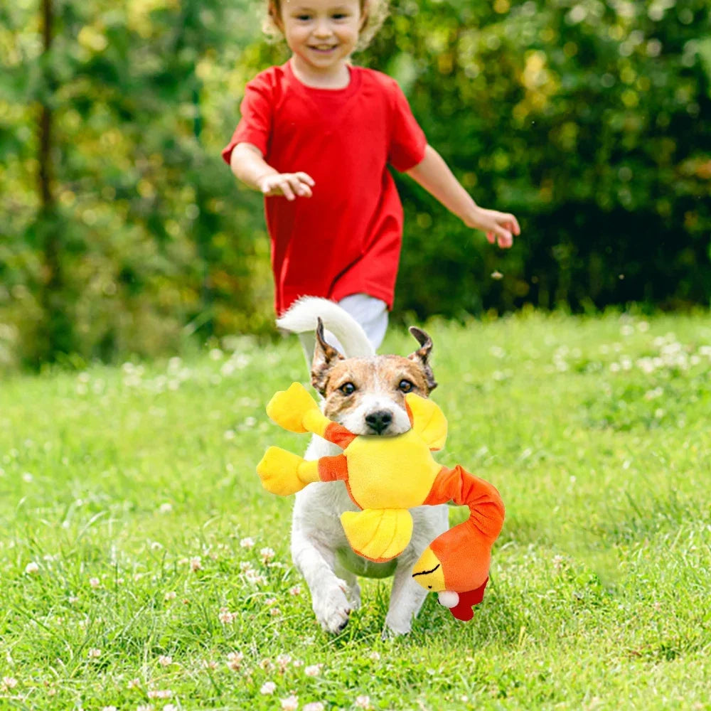 Pets Dog Toys Screaming Chicken Sound Toy