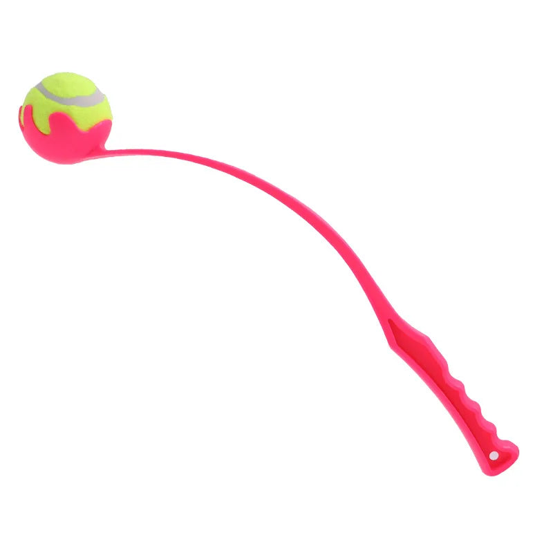 Dog And Cat Interactive Ball