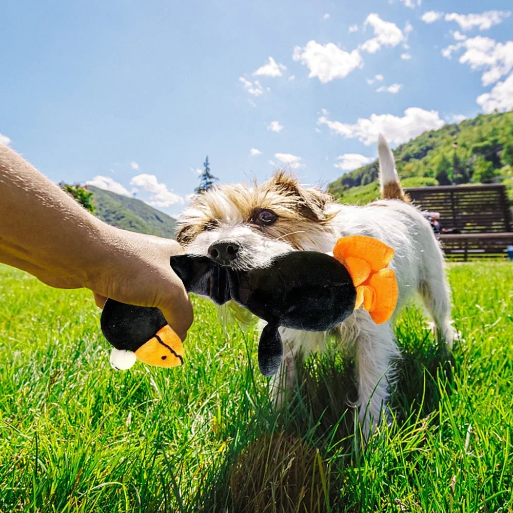 Pets Dog Toys Screaming Chicken Sound Toy