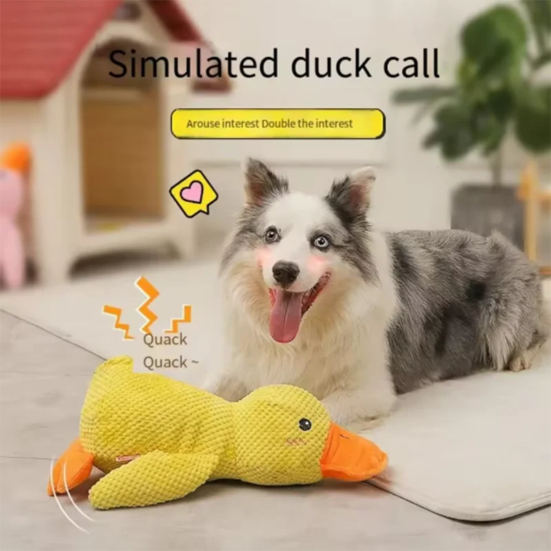 Dog Toy Stomping Duck