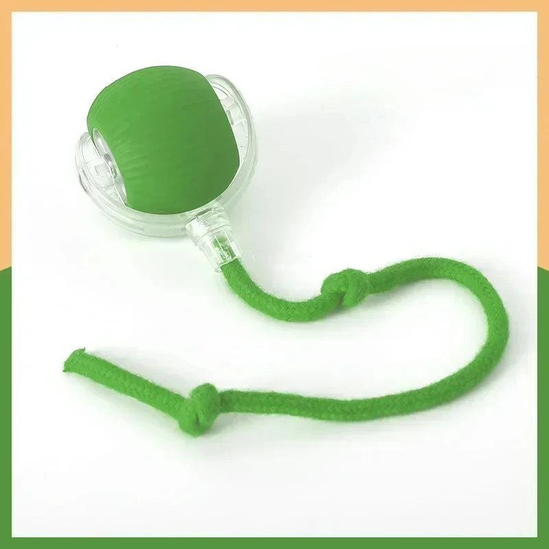 2025 Hot Electric Dog Ball Toys