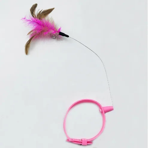 Cat Collar Toy Attached