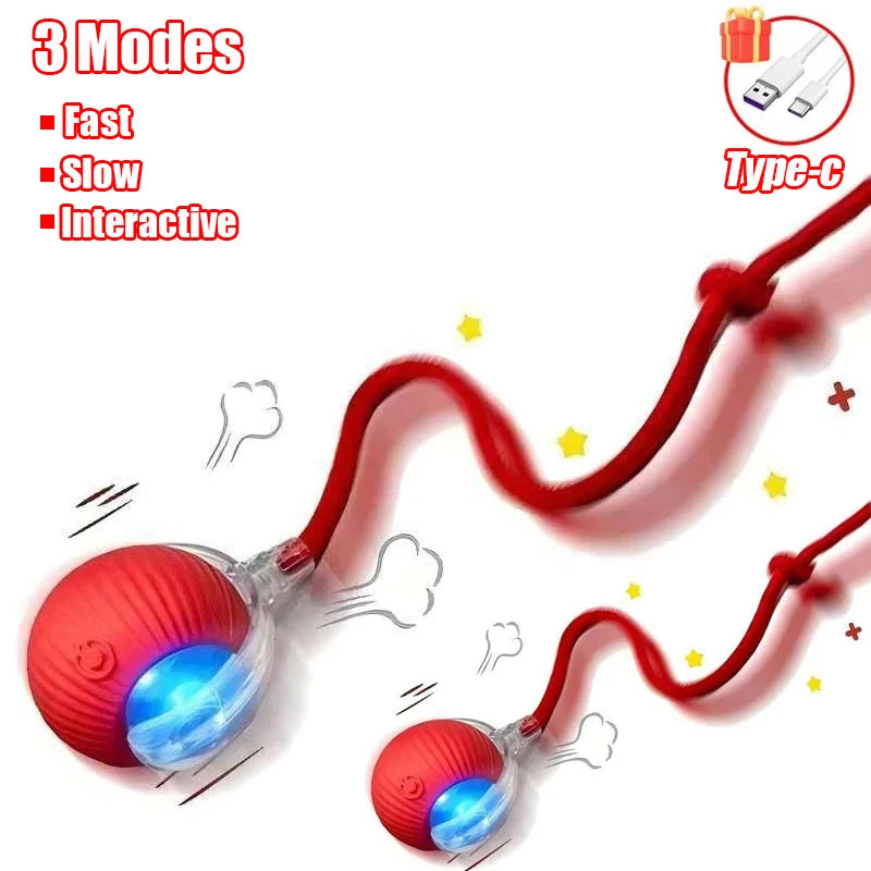 New Cat Interactive Ball Toy Automatic Rolling Ball