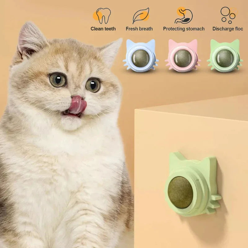 Catnip Lollipop Cat Treat Wall