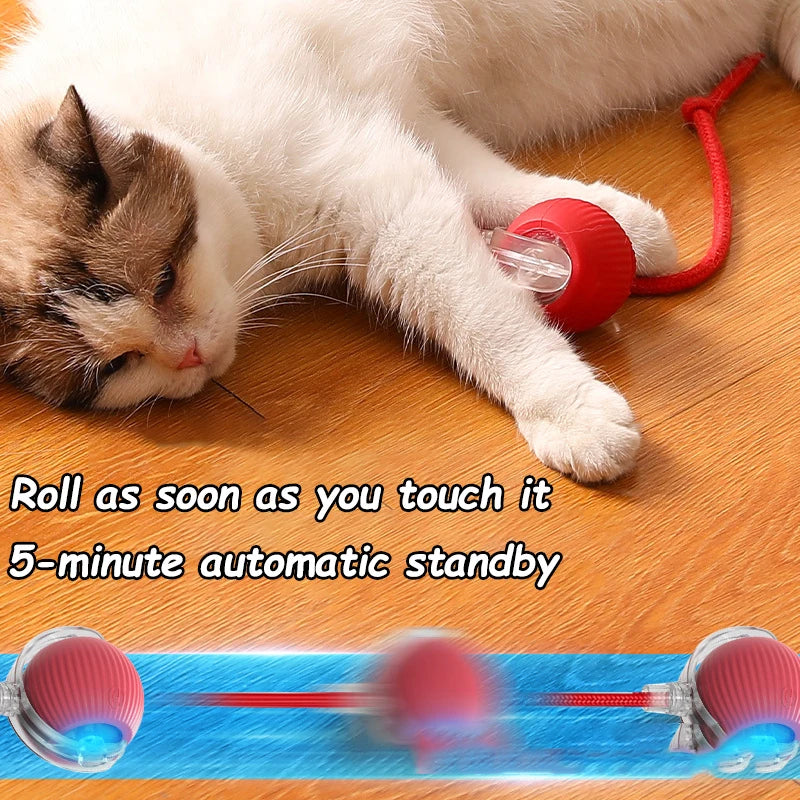 2Pcs Cat Interactive Ball Toys Automatic Rolling Ball
