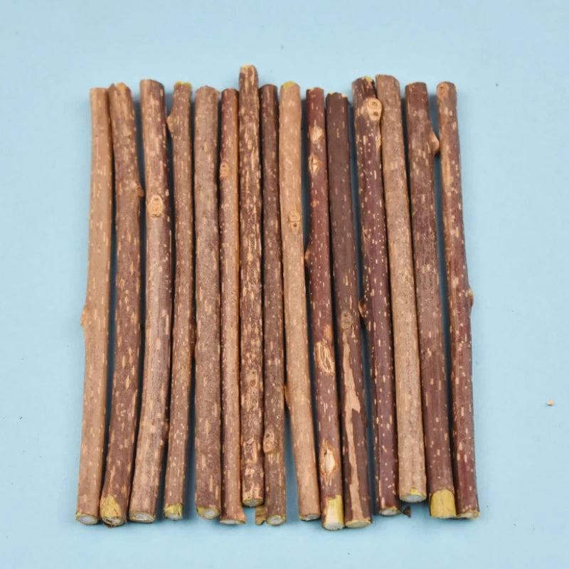 Cat-snack Polygonum Stick Molar