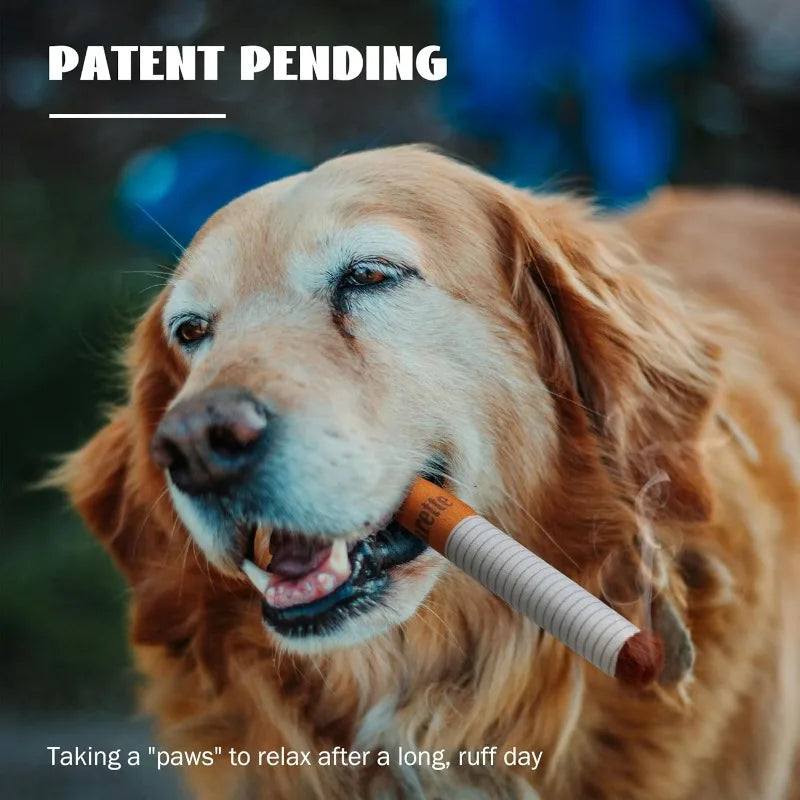 Funny Interactive Plush Dog Toys