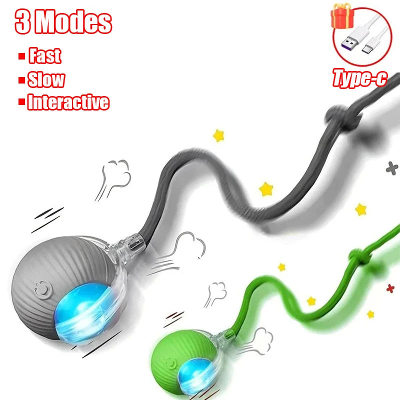 New Cat Interactive Ball Toy Automatic Rolling Ball