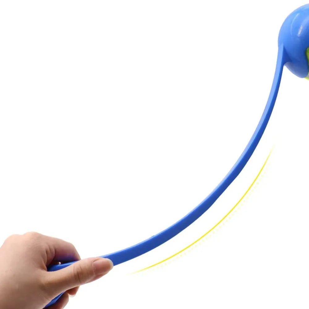 Dog And Cat Interactive Ball