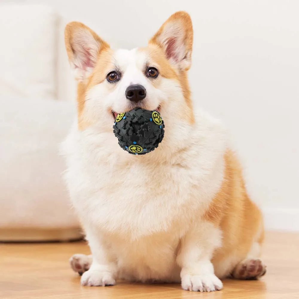 Black Molars Bite Sound Toy