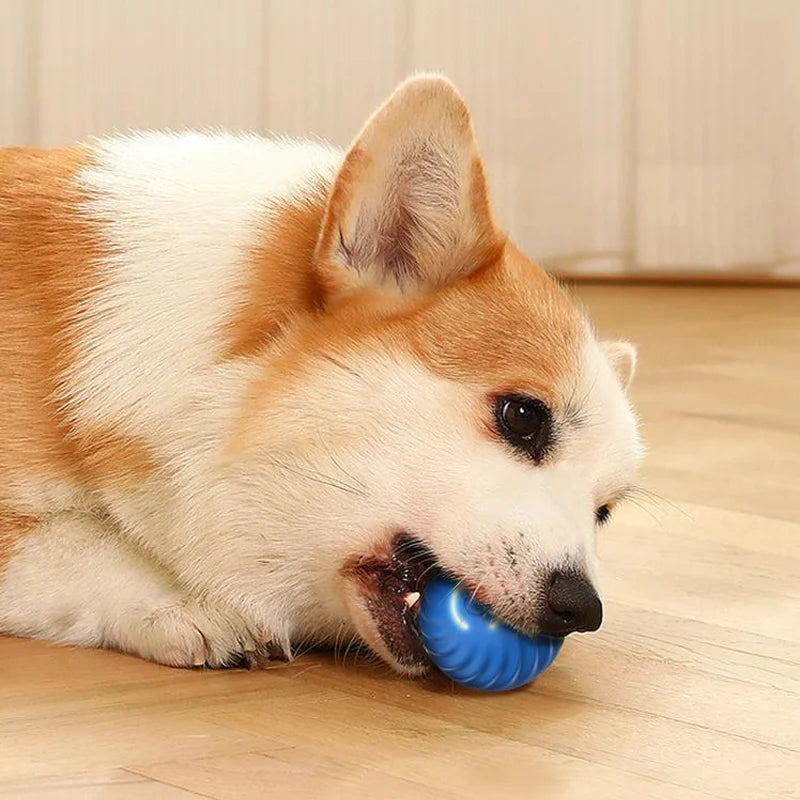 Automatic Moving Dog Toy Ball