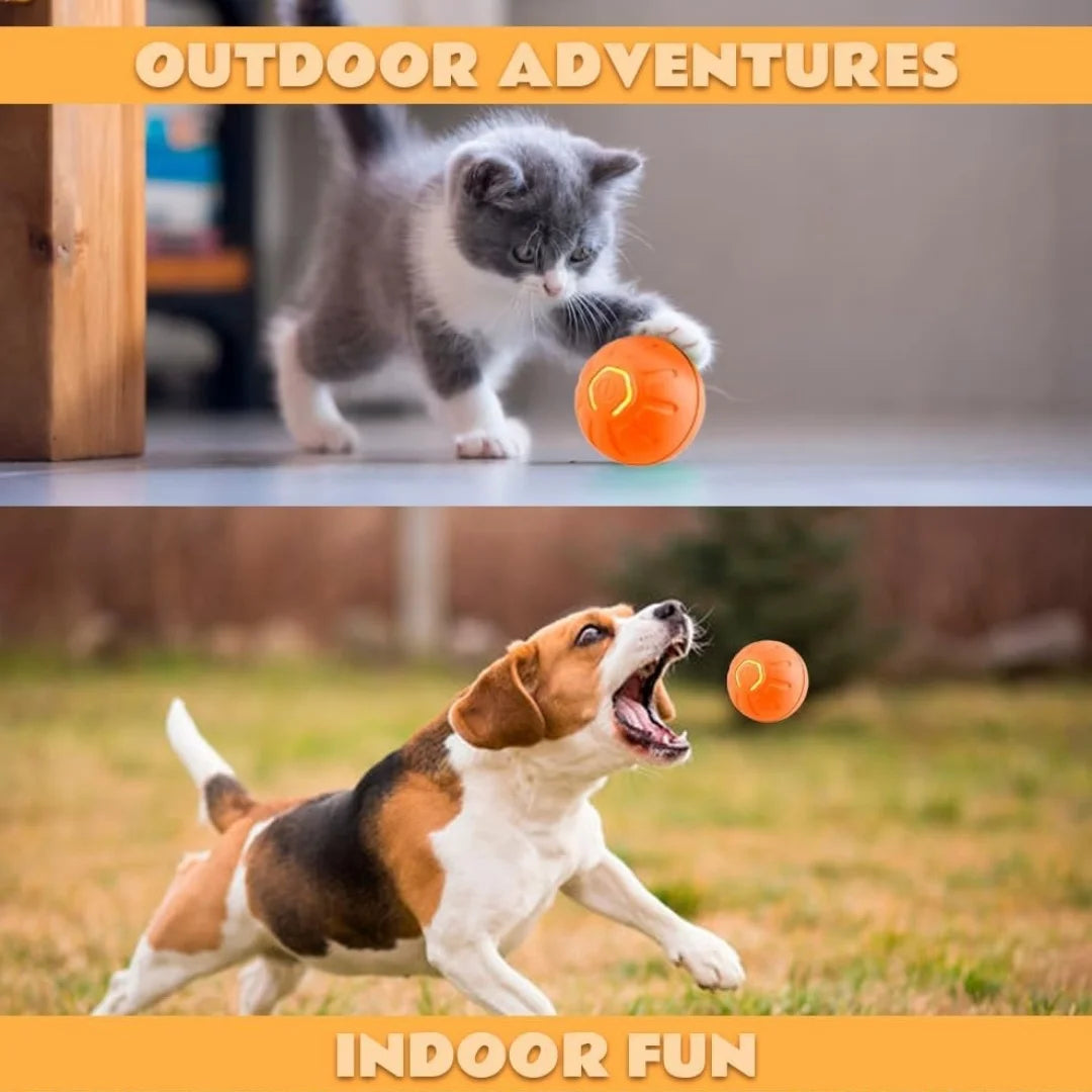 Smart Bouncing Ball For Dogs and Cats