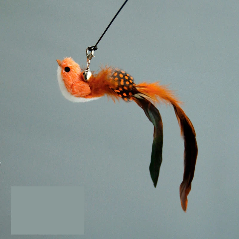 Funny Bird Feather Cat Wand With Bell Accessories Interactive Toys