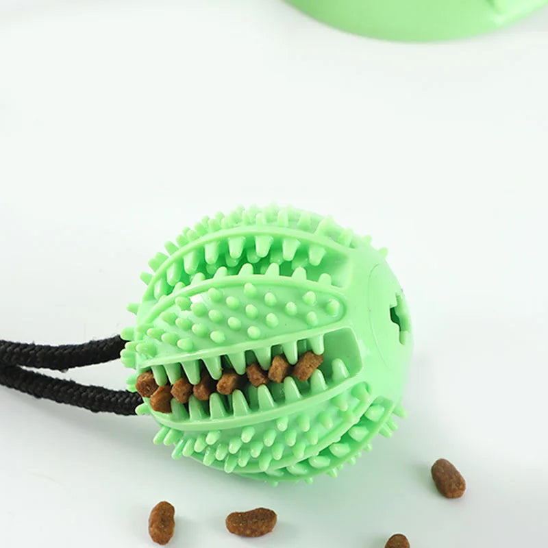 Interactive Suction Cup Dog Toy