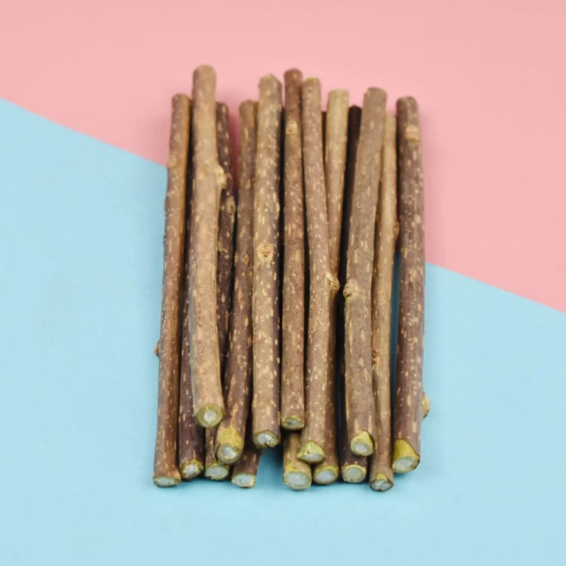 Cat-snack Polygonum Stick Molar