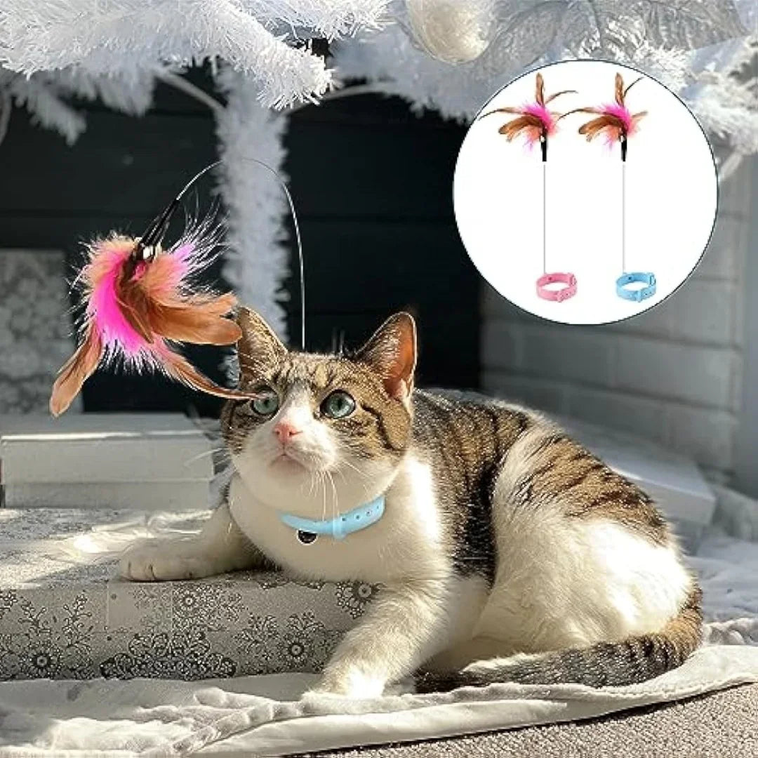 Cat Collar Toy Attached