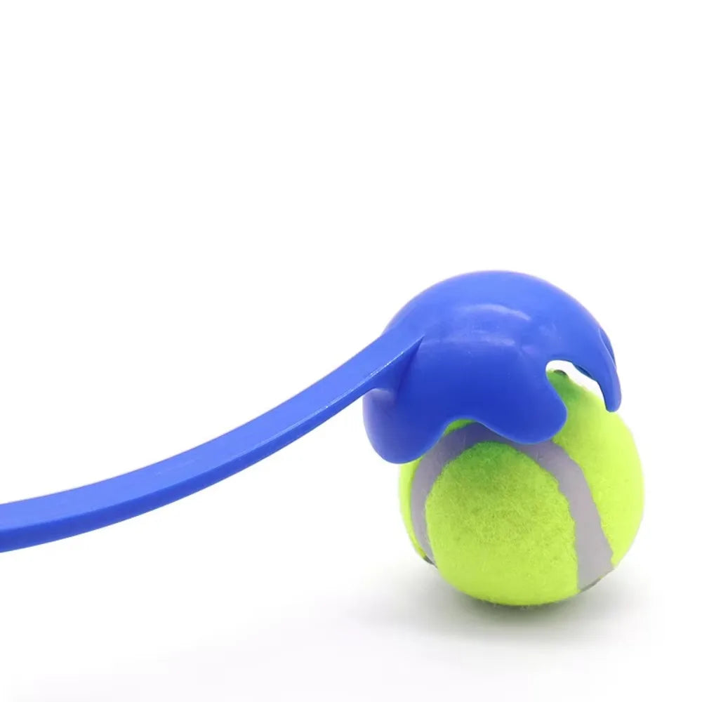 Dog And Cat Interactive Ball