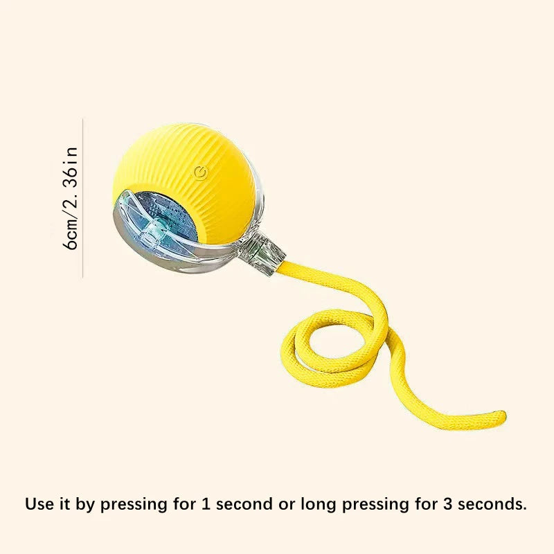Smart Dog Toy Ball