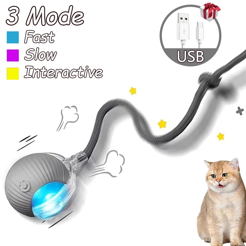 2Pcs Cat Interactive Ball Toys Automatic Rolling Ball
