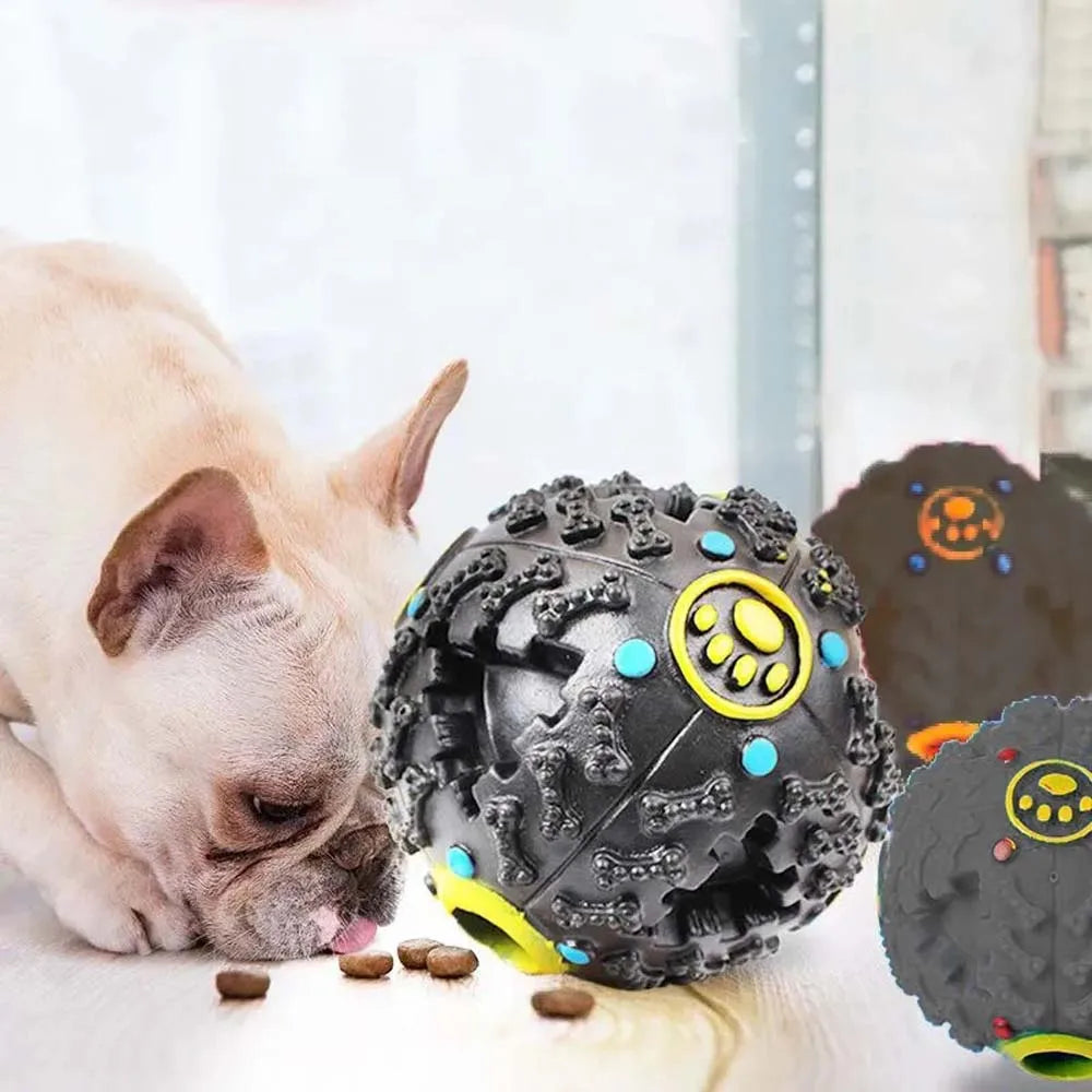 Black Molars Bite Sound Toy