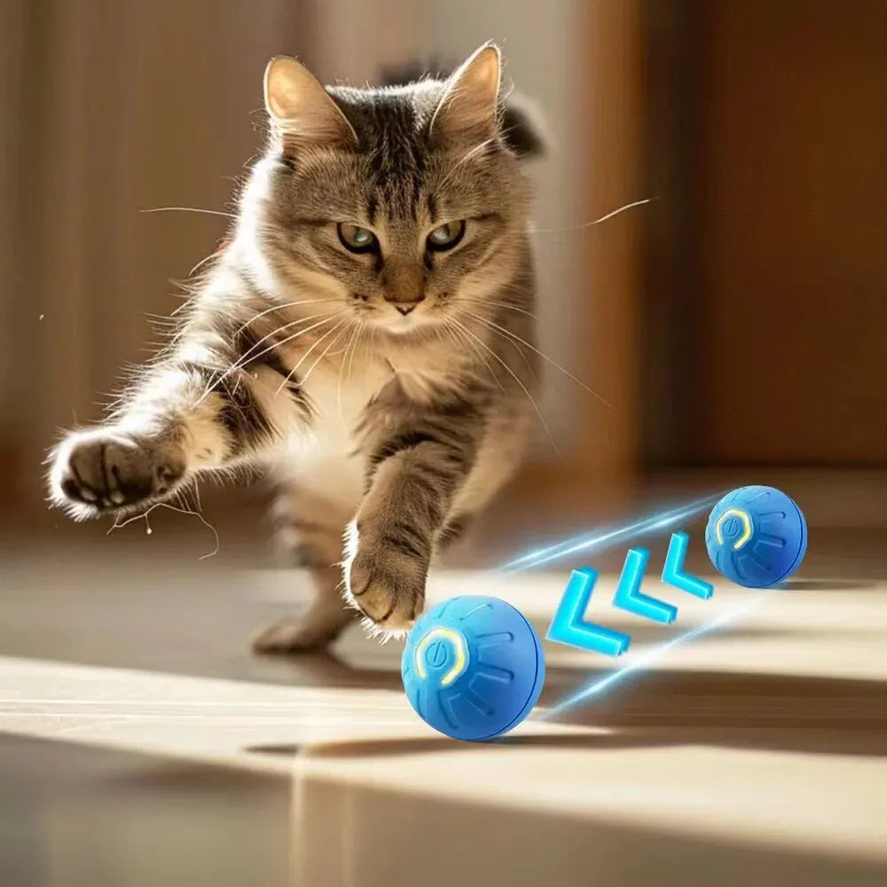 Automatic Moving Dog Toy Ball