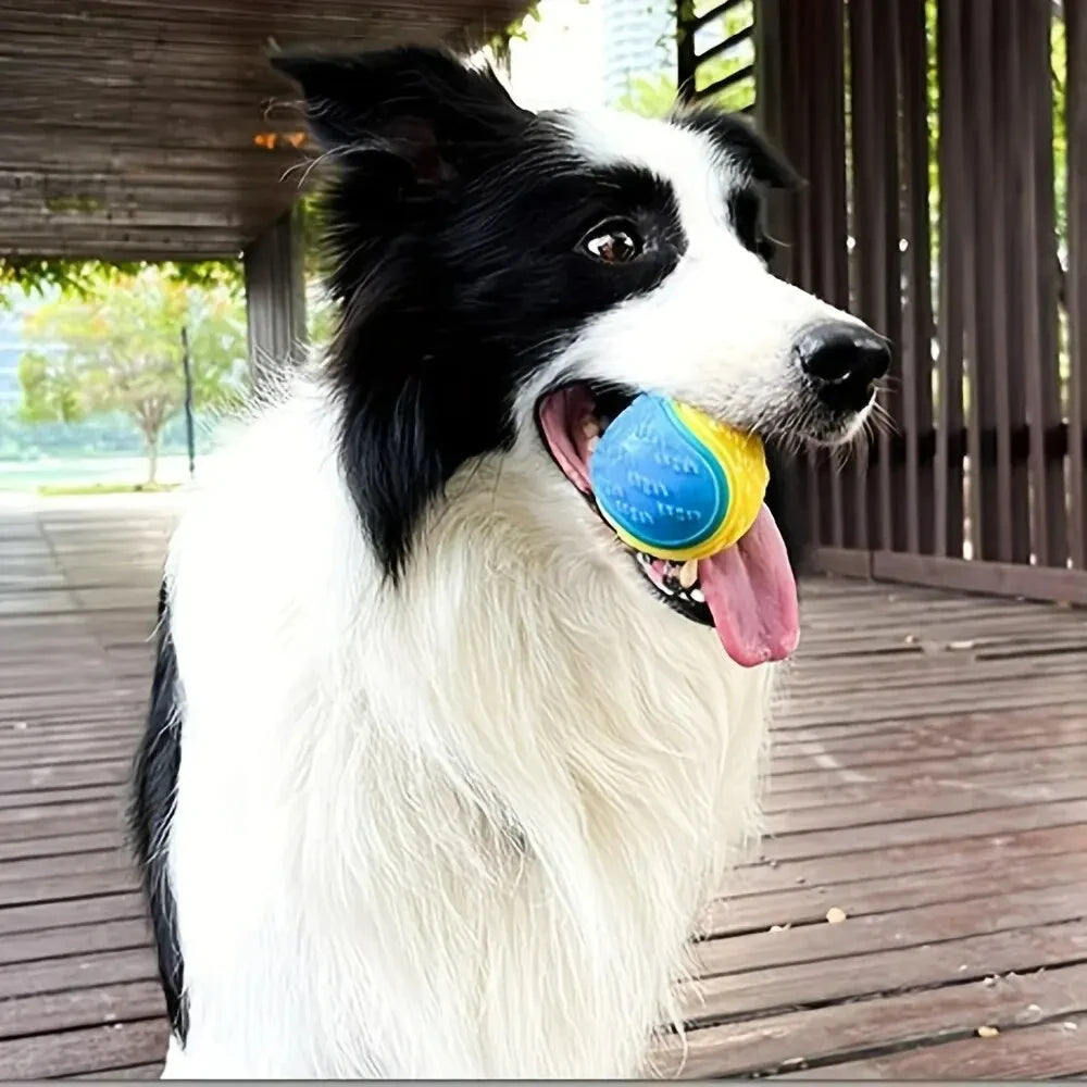 Dog Toy Durable Crew Ball Pet Grinding Teeth Toy