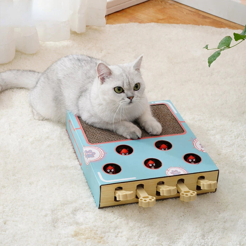 Cat Toy Whack-a-Mole Cat Scratching Board Toy