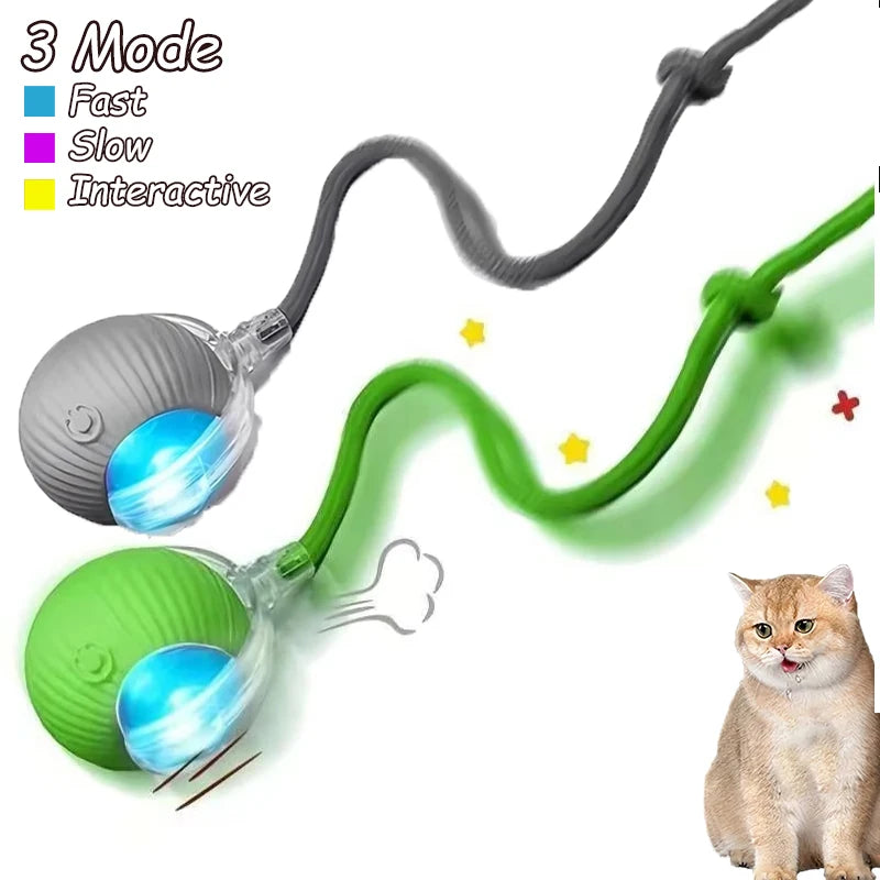 2Pcs Cat Interactive Ball Toys Automatic Rolling Ball