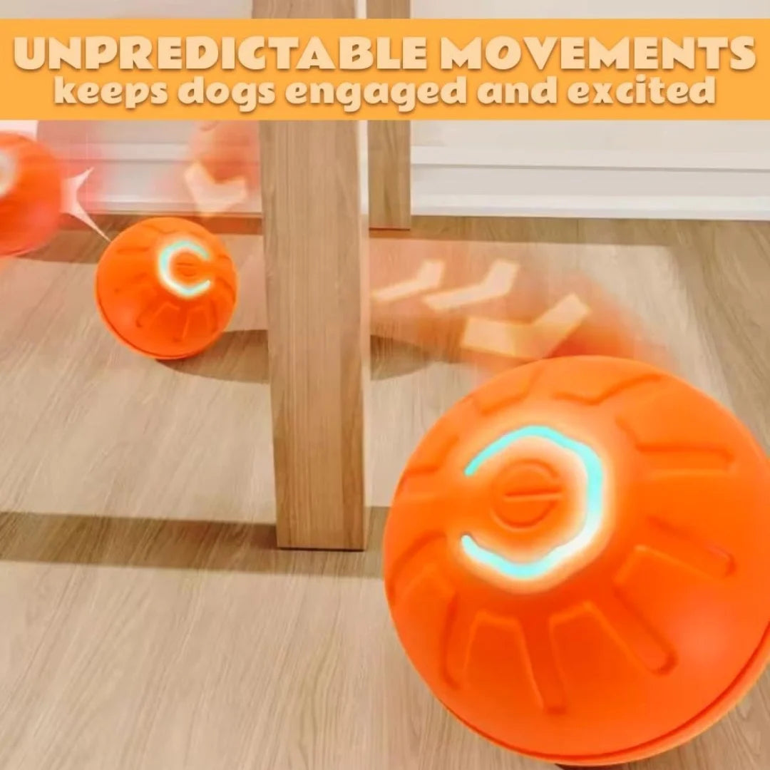 Smart Bouncing Ball For Dogs and Cats