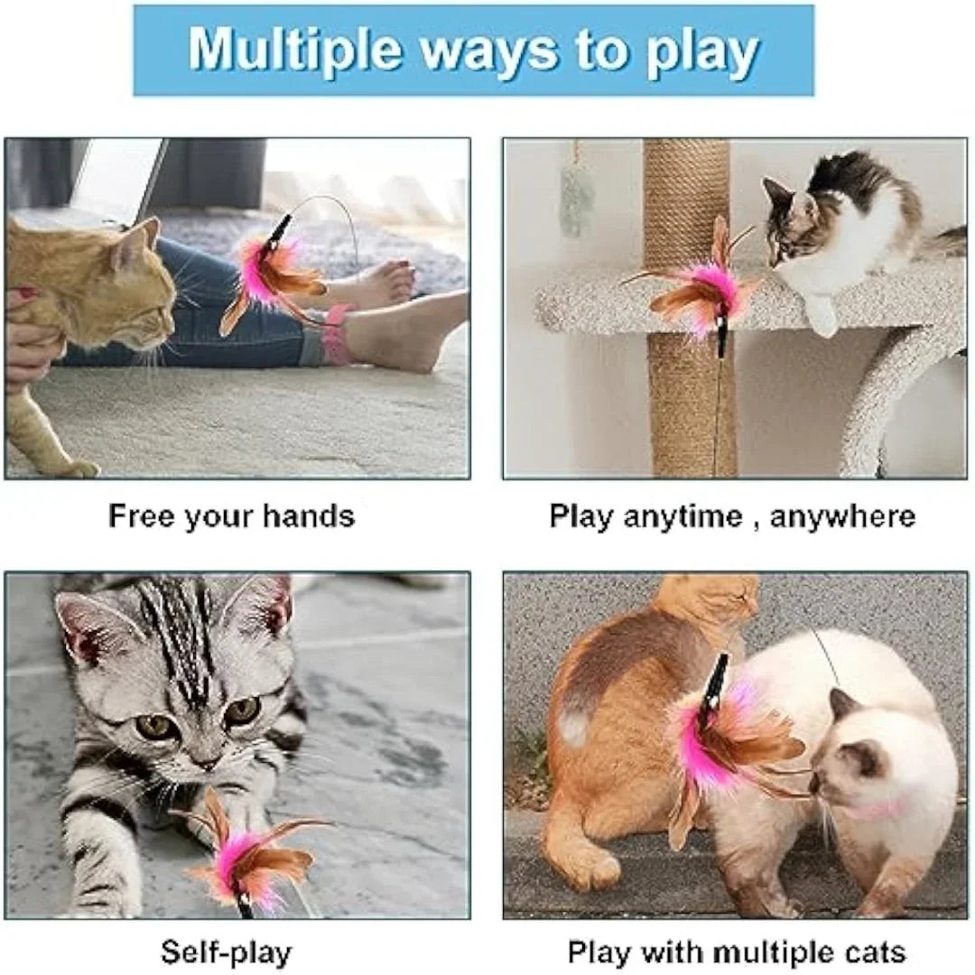 Cat Collar Toy Attached