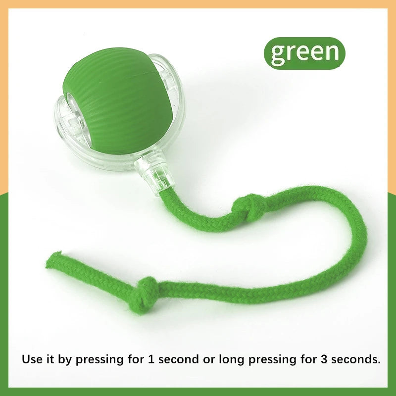 Smart Dog Toy Ball