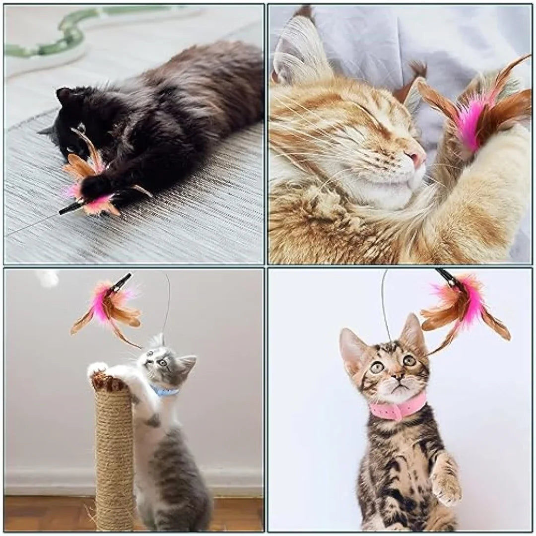 Cat Collar Toy Attached