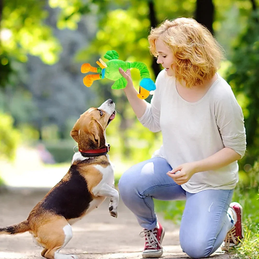 Pets Dog Toys Screaming Chicken Sound Toy