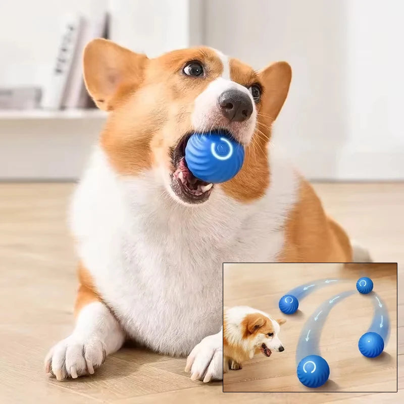 Automatic Moving Dog Toy Ball
