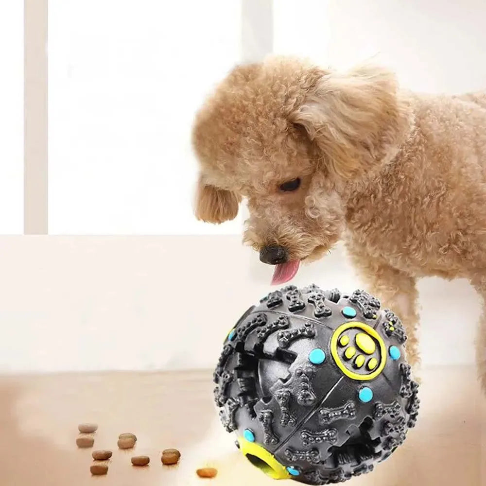 Black Molars Bite Sound Toy