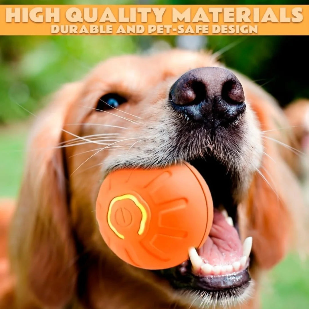 Smart Bouncing Ball For Dogs and Cats